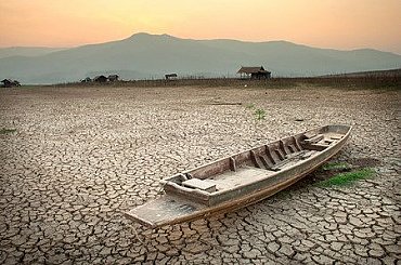 Velkochovy ve spirále klimatické zkázy: ničivé dopady na zvířata, farmy a potravinovou bezpečnost