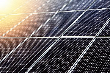 Firma Školky Litomyšl začala zkušebně pěstovat maliny pod fotovoltaickými panely