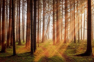 Odstraňování škod z povodní na vodních tocích Lesů ČR potrvá nejmíň do roku 2030