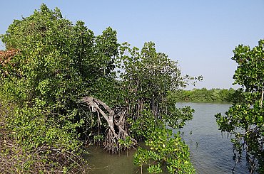 Nové tůně v Krnově pomohou zadržet vodu a podpořit biodiverzitu