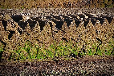 Úpské rašeliniště v Krkonoších bude jedním z nejlépe sledovaných na světě